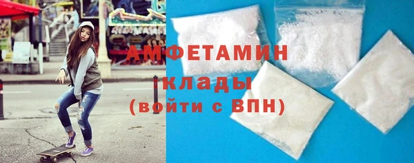 шишки Лабытнанги