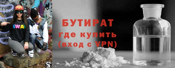 шишки Лабытнанги