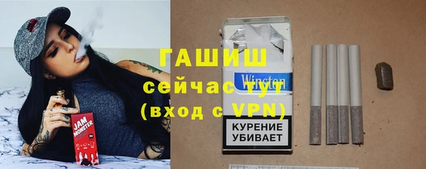 шишки Лабытнанги