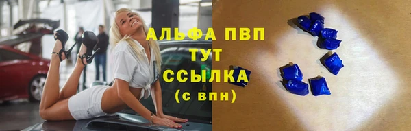 шишки Лабытнанги