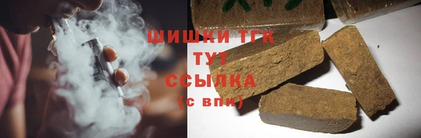 мдпв Ладушкин