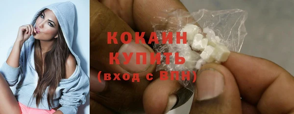 мдпв Ладушкин