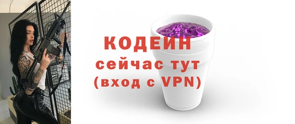 шишки Лабытнанги