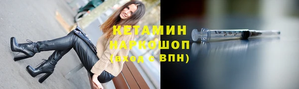 шишки Лабытнанги