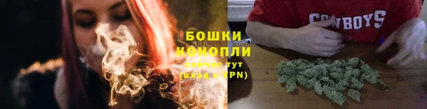 мдпв Ладушкин