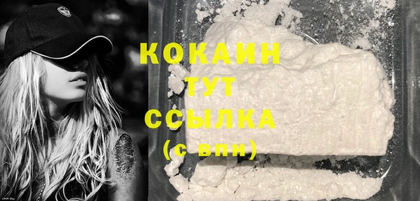 мдпв Ладушкин