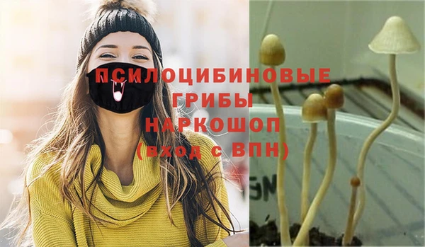 шишки Лабытнанги