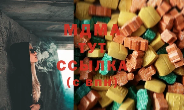 шишки Лабытнанги