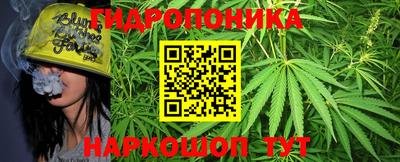 PSILOCYBIN Бийск