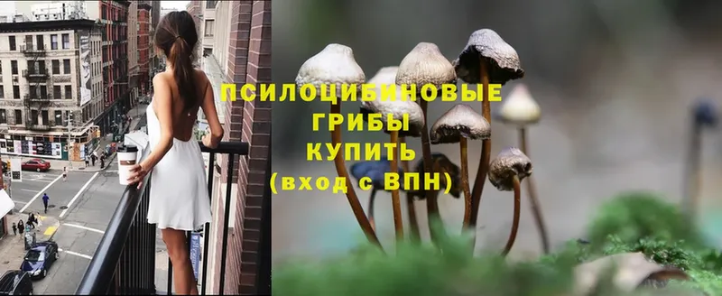 блэк спрут как зайти  Нарьян-Мар  Галлюциногенные грибы MAGIC MUSHROOMS 