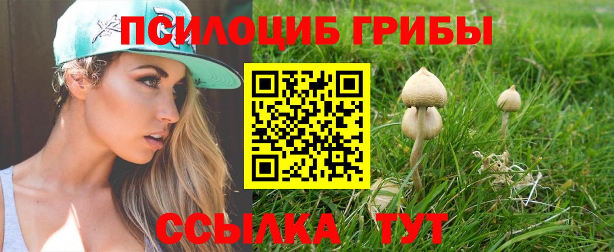 наркотики  Псилоцибиновые грибы MAGIC MUSHROOMS  Нарьян-Мар  Галлюциногенные грибы ЛСД 