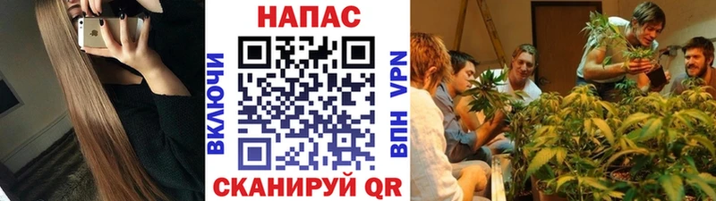 Шишки марихуана план  Нарьян-Мар 